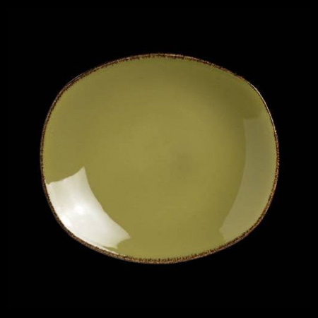 11200580-英国Steelite 西餐陶瓷香料碟